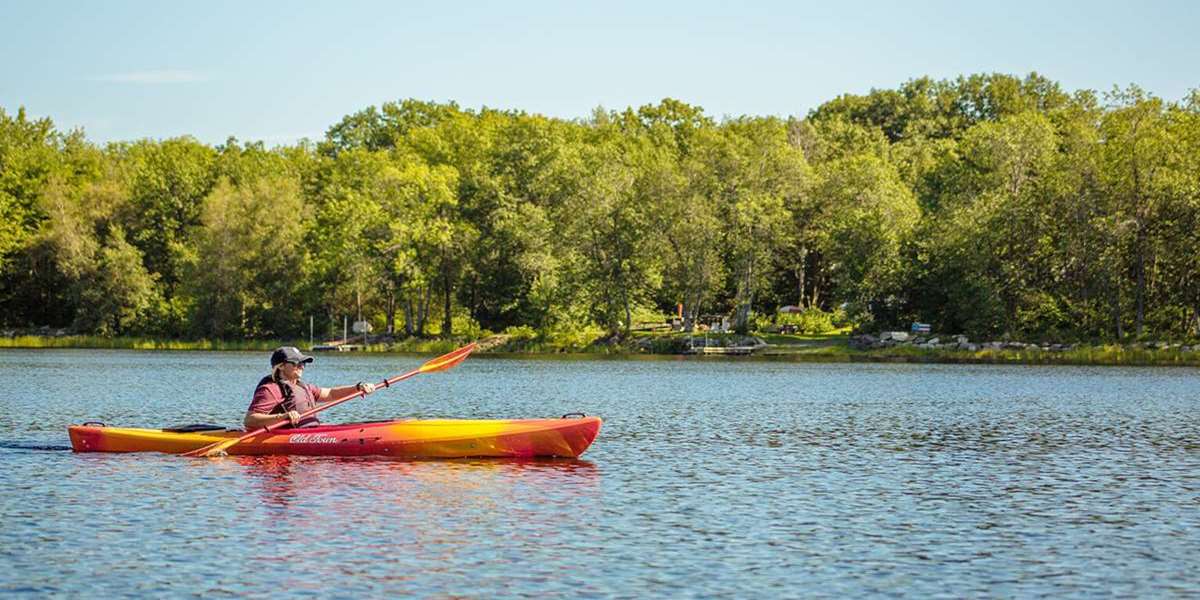 Kayaking in the reeds